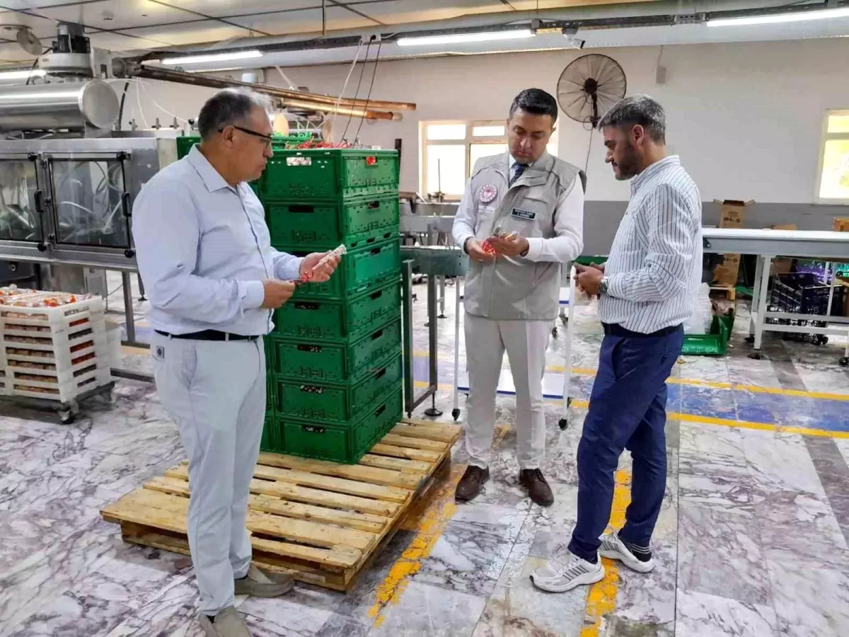 Yalova’da Gıda Karekod Uygulaması Başlıyor
